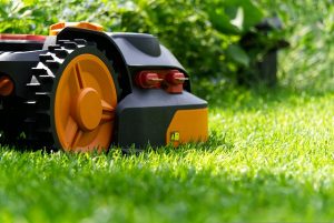 entretien jardin agen